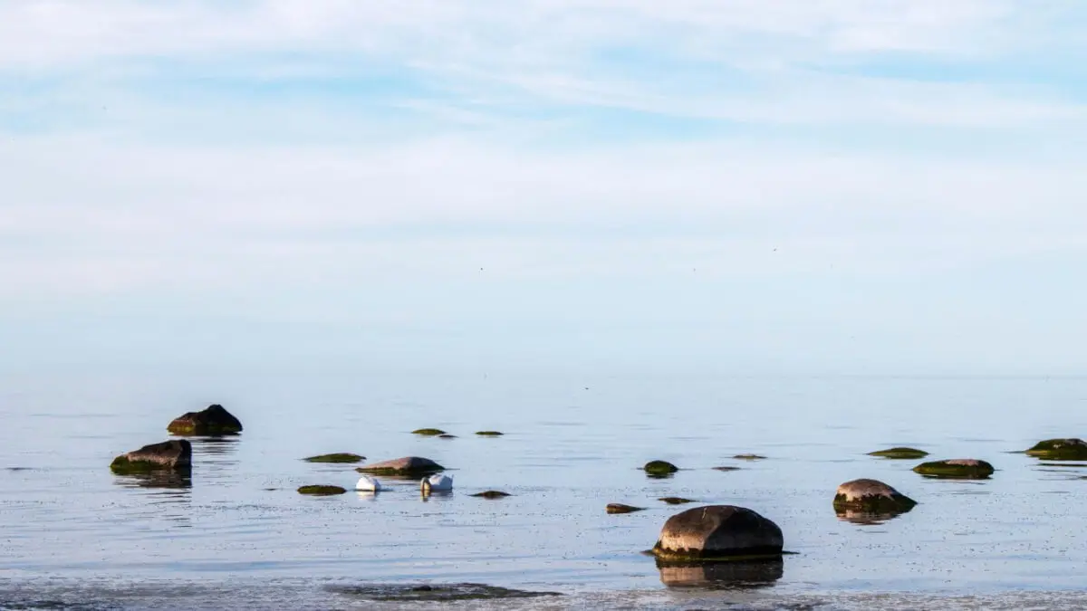 Lyxiga herrgårdar och hotell på Gotland